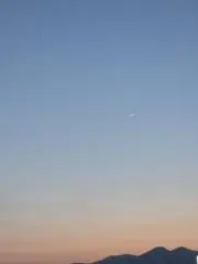ホワイトの画像