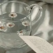 にゃみの画像