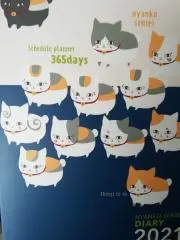 おちゅおちゅの画像