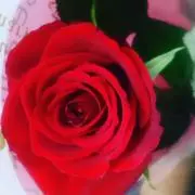 み