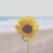 mi