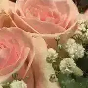 JJの画像