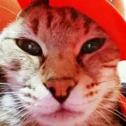 みく
