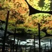 ゆう(プロフ必読)の画像