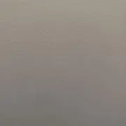 だいこんの画像