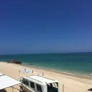 アロハの画像