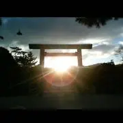 なみの画像