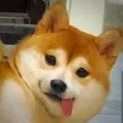 Sen Oの画像