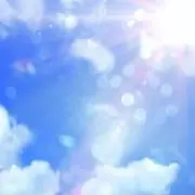 こんの画像