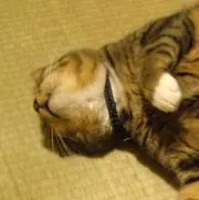 mrcriの画像