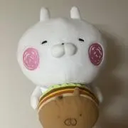 さらのすけの画像