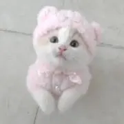 あるちゃの画像