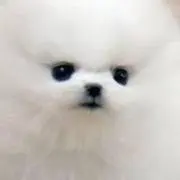 プロフ必読★ミミナン