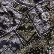 キイ氏の画像