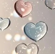 柚子