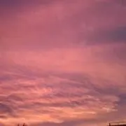 aiの画像