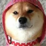 シバレンジャイの画像