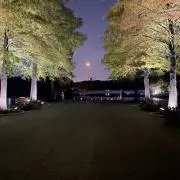 ぽんたの画像