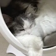 ゆうの画像
