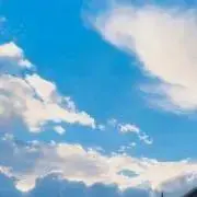 みみの画像
