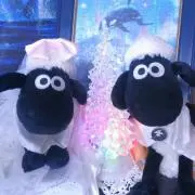 mof-p