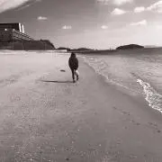 ◯ディーニの画像