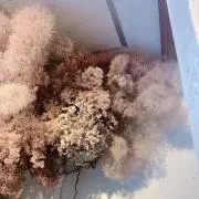 みやじ