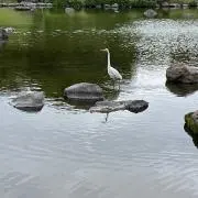 おきる