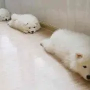 あーりん♪の画像