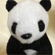 ぽやんの画像