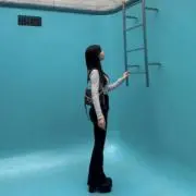 かにの画像