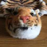 エイト