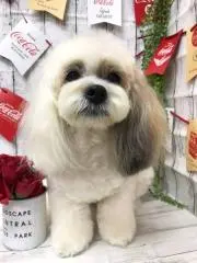 ゆきちゃんママ