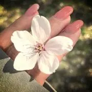 るるの画像