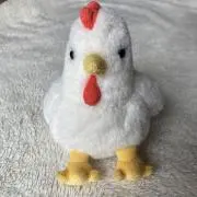 リッキー　　購入前にプロフ参照願いますの画像