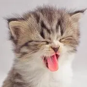 おてべい