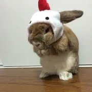 yu.k