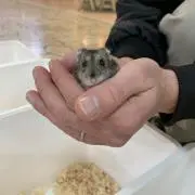 Rileyの画像