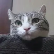 サト