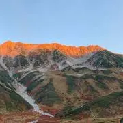 808の画像