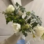 maiの画像