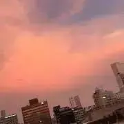 misaの画像