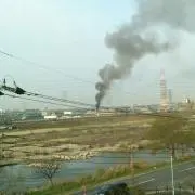 どんぶり親子ママ