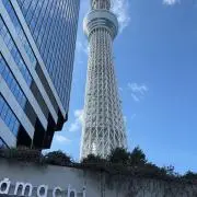 すずきの画像