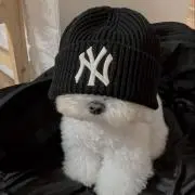 いろはすの画像