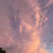 まりーの画像