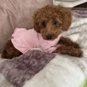 Mちゃん
