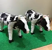 Kの画像