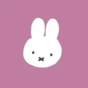 ナミの画像