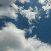 セラフィム✞プロフ確認宜しくお願い致しま